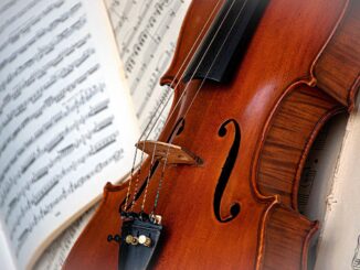 Archetto per violino perfetto