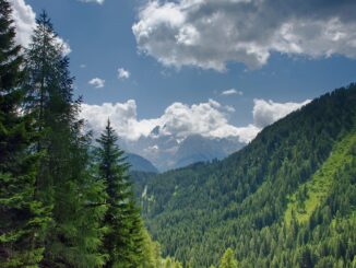 Vacanze a Madonna di Campiglio? Fate il Giro dei Cinque Laghi!