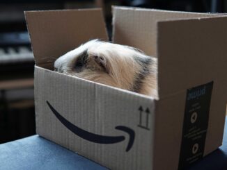 Amazon Go: il primo negozio del futuro senza casse